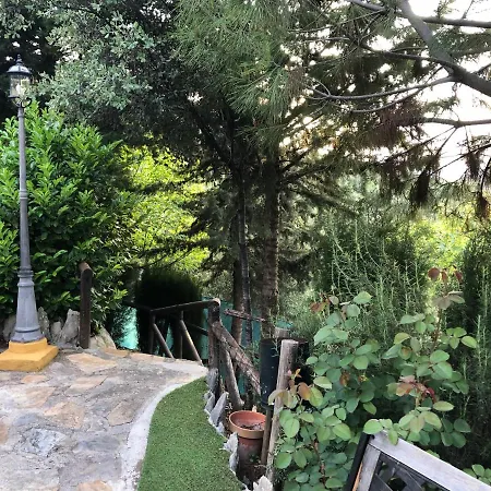 De Madera Y - Gilmañas 3