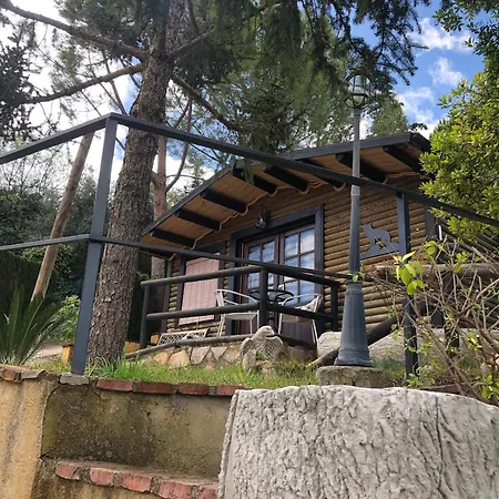 De Madera Y - Gilmanas 3