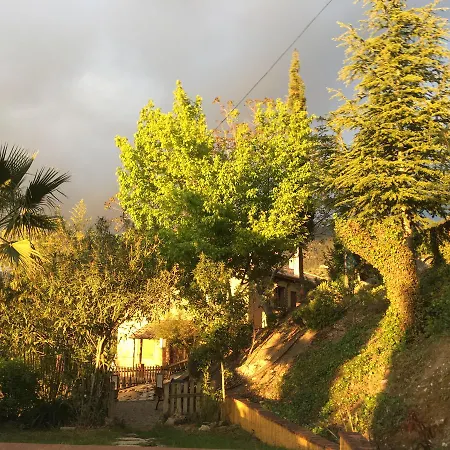 Casa rural De Madera Y - Gilmañas 3 La Iruela