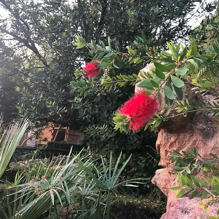 Casa rural De Madera Y - Gilmañas 3 *